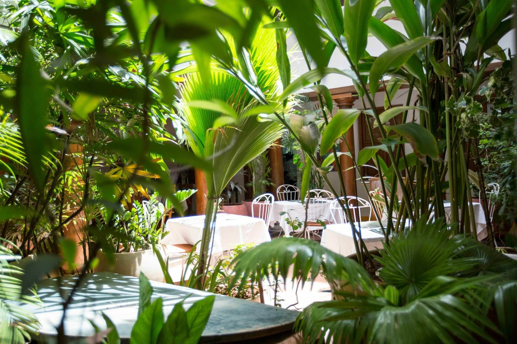 Maison Perumal Pondicherry - A Cgh Earth Experience Dış mekan fotoğraf